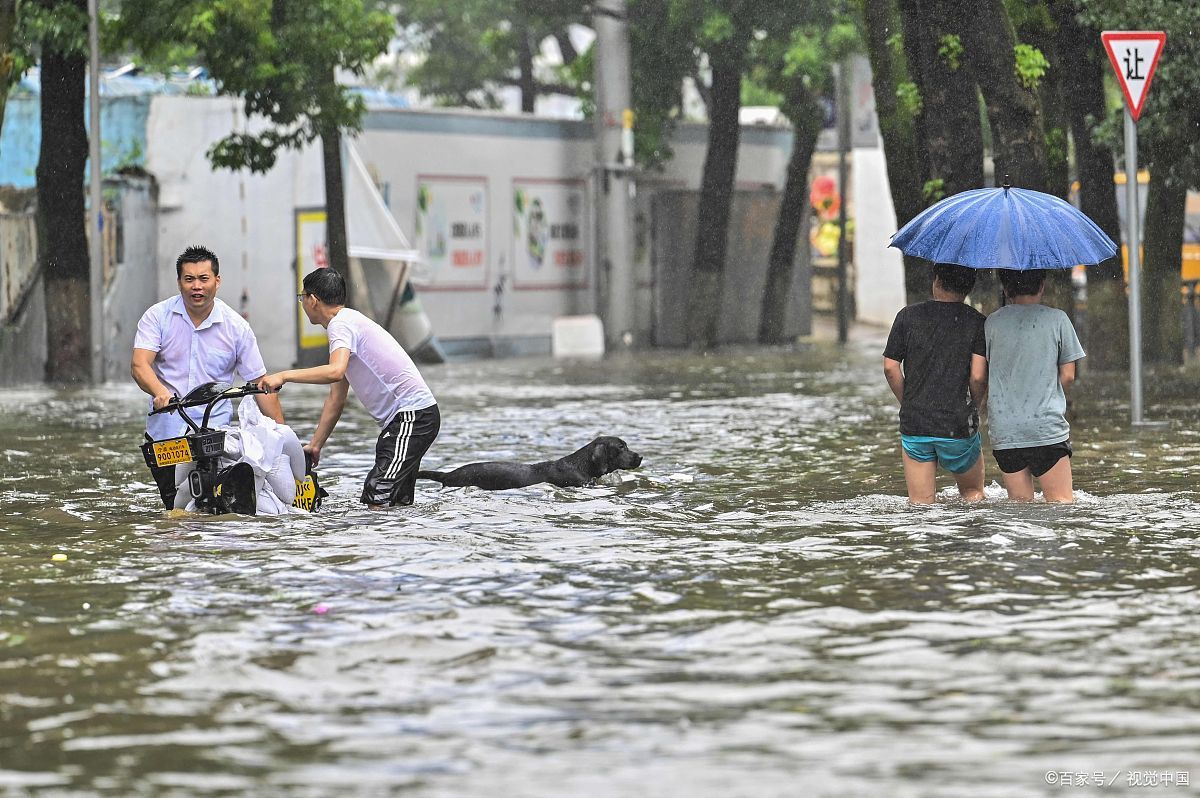 暴雨來襲|城市內(nèi)澇監(jiān)測(cè)系統(tǒng)顯身手(圖1)